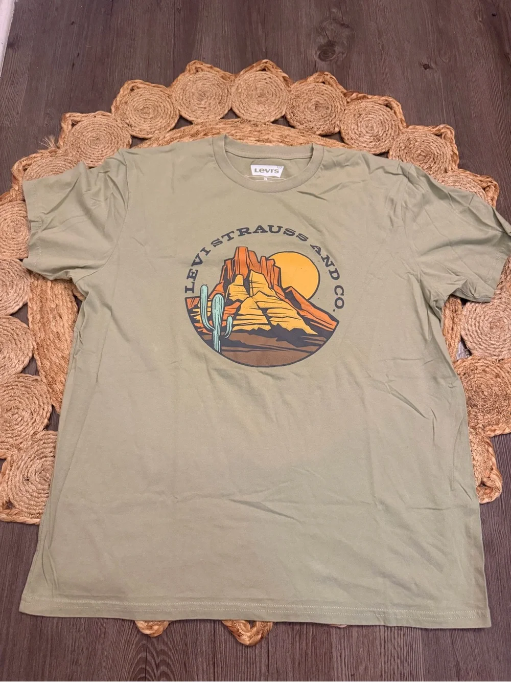 Levi's Men's Sage Graphic Desert T-Shirt